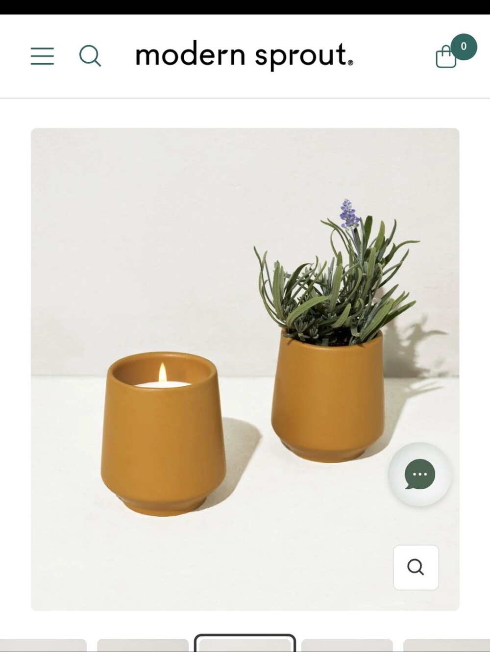 Lavender Soy-Blend Candle - Modern Sprouted